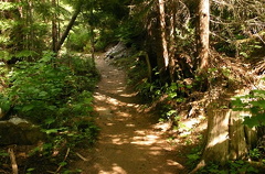 Hiking Trails