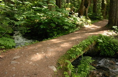 Earth Bridge