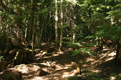 Mountain Biking Trail