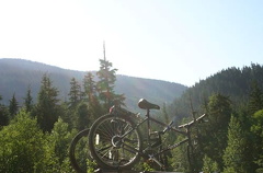 Mountain Bikes