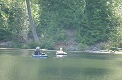 Discussing Fish Strategy