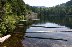 Deadfall Reflections