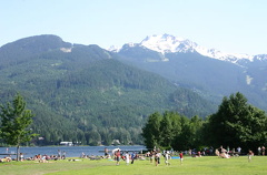 Grassy Fields