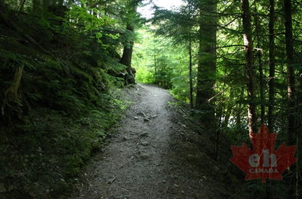 Hiking Trail