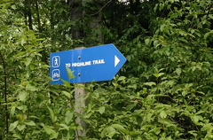 Blue Signs
