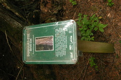 Interpretive Signs
