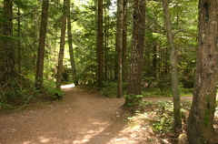 Hiking Trail