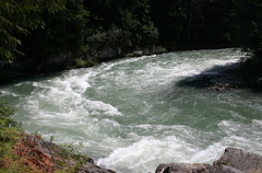 Cheakamus River