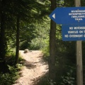 Trail