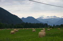 Hay Fields