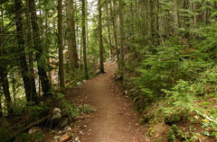 Mountain Biking Trail