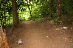 Hiking Trail