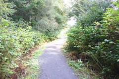 Hiking Trail