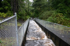 Fish Ladders