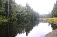 Morse Creek