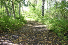 Nature Trail