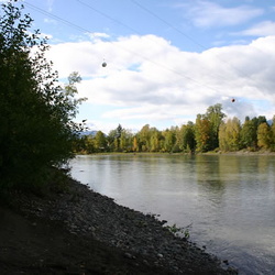 Ferry Island