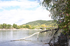 Skeena River