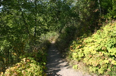 Hiking Trail