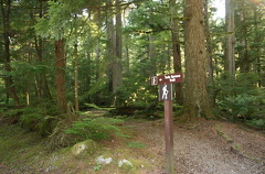 Hiking Trail
