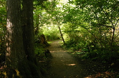 Hiking Trail