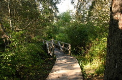 Boardwalk Bridge