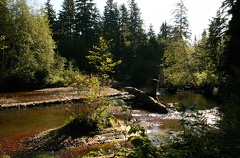 William's Creek