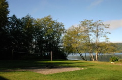 Grassy Field