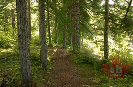 Hiking Trail