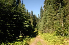 Hiking up the Mountain
