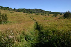 Farmer 's Field