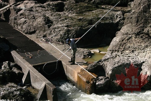 First Nation Fisherman
