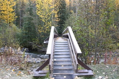 Wooden Bridge