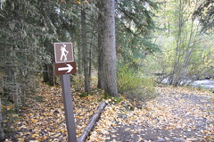 Nature Trail
