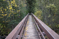 Wooden Bridge