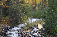 Creek