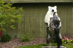 Spirit Bears