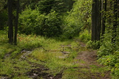 Trail gets Muddy