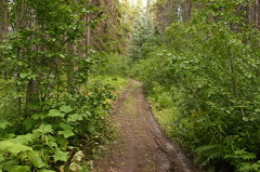 Hiking Trail