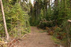 Hiking Trail