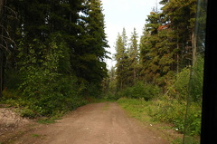 Gravel Road