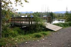 Birdwatching Platform
