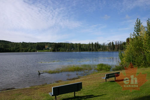 Lake Viewing Benches