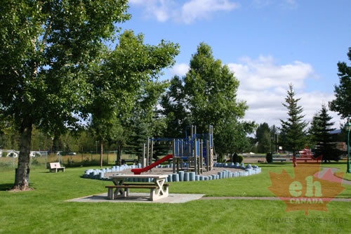 Grassy Fields