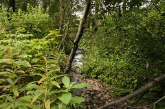 Hiking Trail Creek