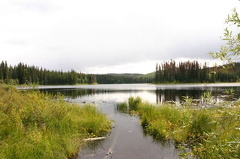 lake 002.jpg