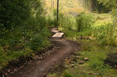 trail.jpg