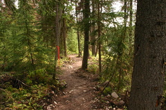 trail 003.jpg