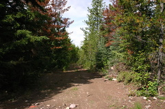 Mountain Bike Trail