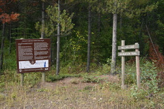 Billboard Signage